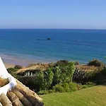 Flamenco Conil
