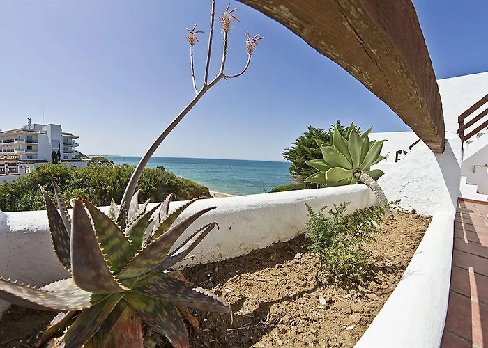 Flamenco Conil Βίλα Conil De La Frontera